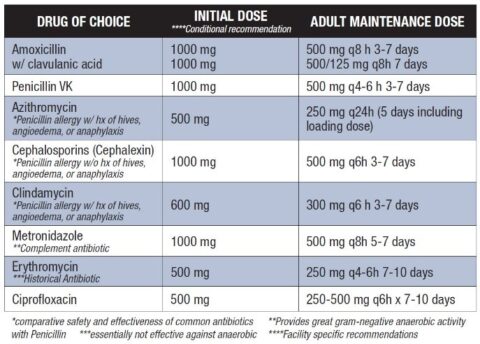 Antibiotics are NOT Chicken Soup! - EndoExperience